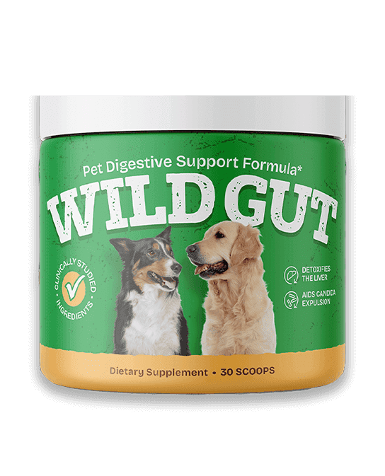 wildgut